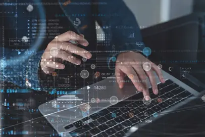 IT professionals red bud il